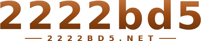 2222bd5 logo